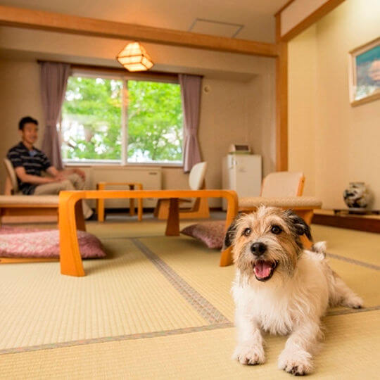 【ペット可ホテル】北海道の自然をペットと満喫おすすめホテル10選｜Stayway